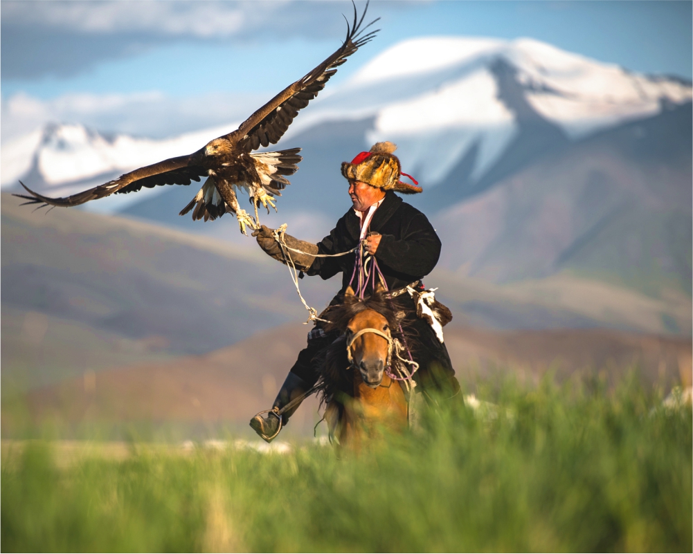 MICE и деловой туризм